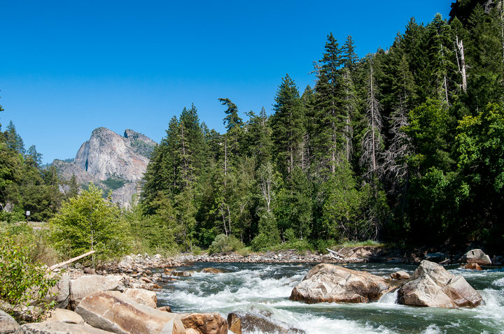 Stream in Yosemite National Park