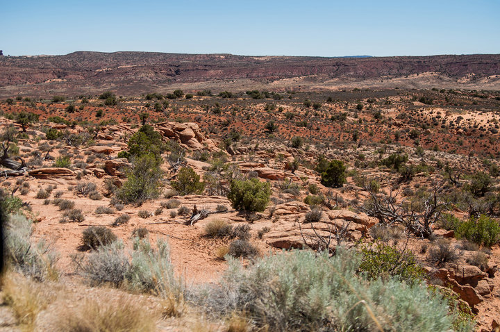 Desert view at Arches Nat. Park